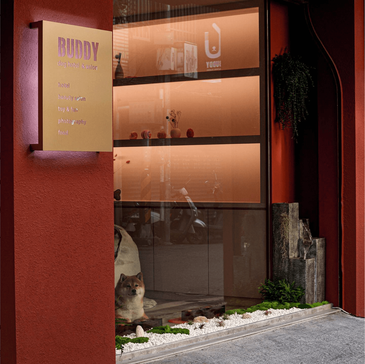 BUDDY 巴帝寵物旅店