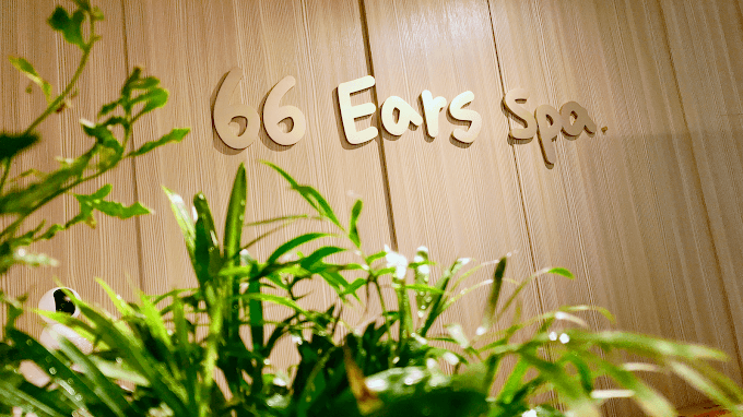 66 Ears SPA